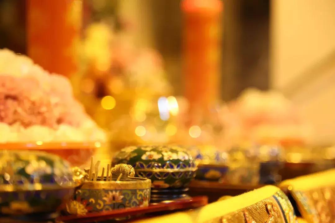 自然驱蚊的最好方法,不伤身体驱蚊方法