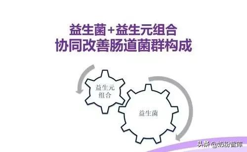 益生菌益生元多的2段奶粉,含水解蛋白益生菌益生元奶粉