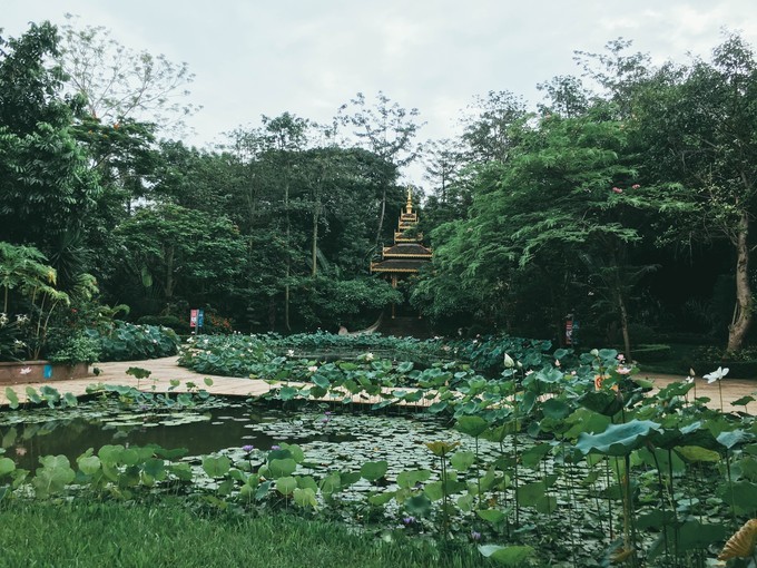云南不止有风花雪月的苍山洱海,去西双版纳感受傣族民族风情