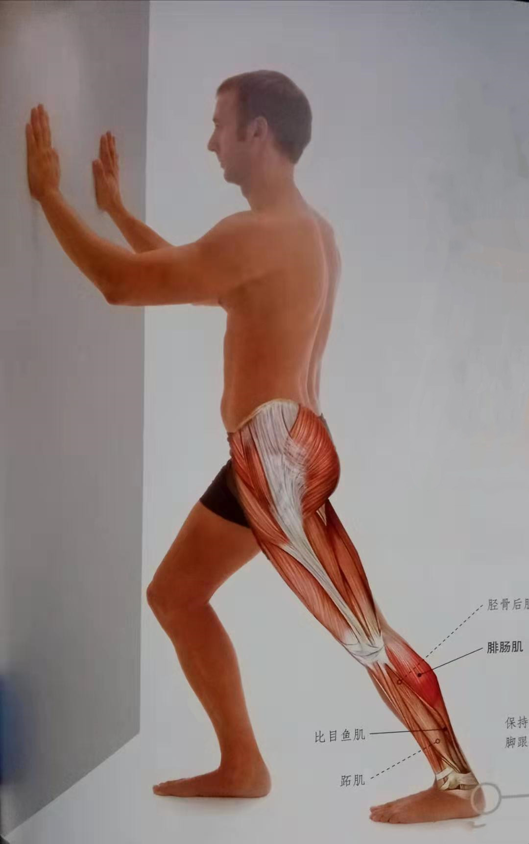 每天久坐不动用电脑，玩游戏腰酸背痛？教你几个简单动作迅速缓解