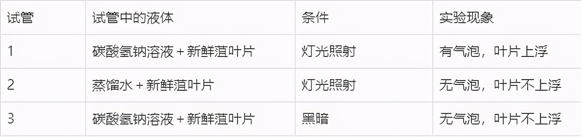 人教版七年级生物植物的呼吸作用,生物光合作用与呼吸作用的综合题