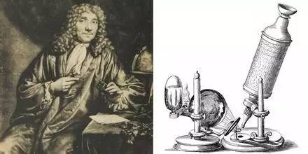 精子游动速度和什么有关,精子游动的能量是什么