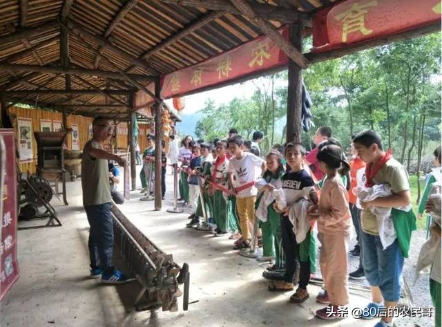 农家乐里的废物变废为宝,农业废物的处理和利用方法