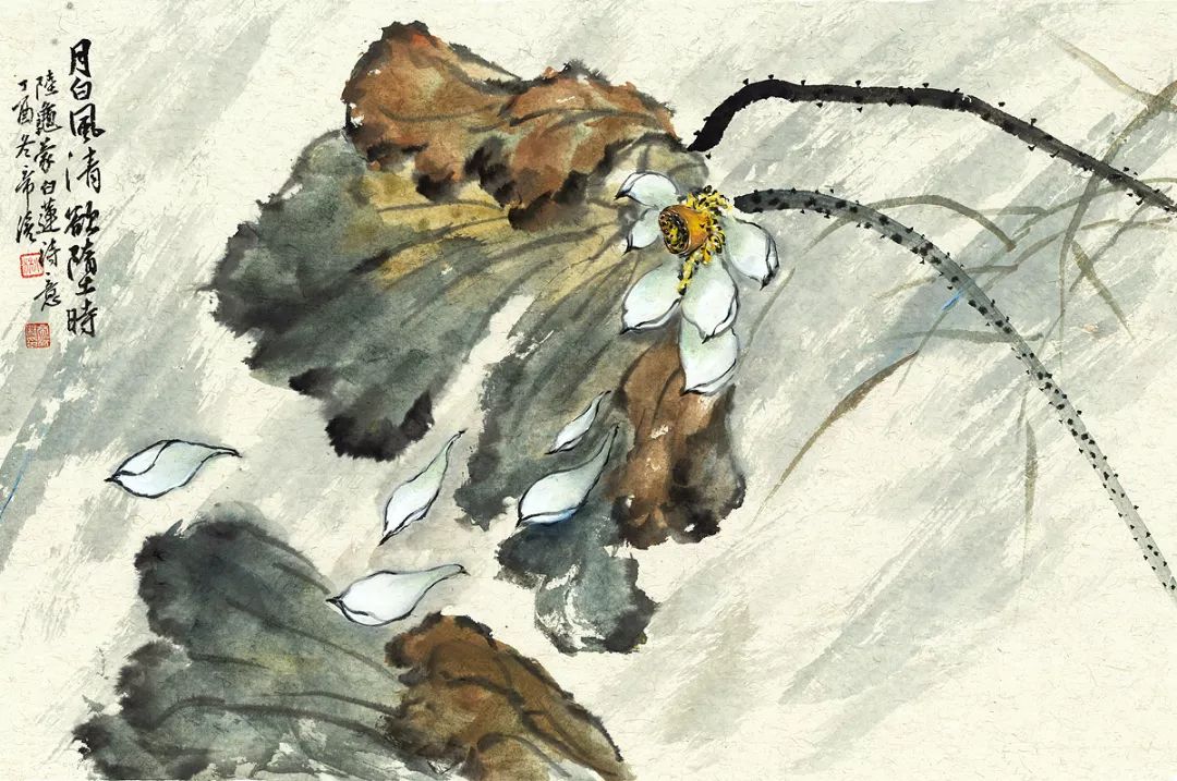 小林｜常恐秋风早，飘零君不知