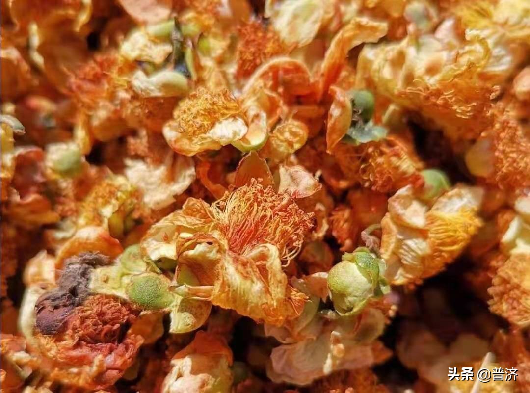 普洱古树茶花怎么喝才好喝,普洱古茶树茶花功效和作用是什么