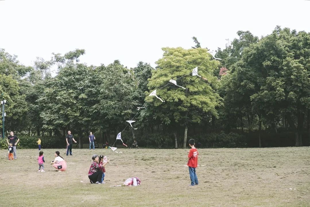 深圳周末带孩子免费游玩好去处,2021深圳免费适合遛娃玩地方排名