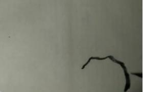 写意梅花画法技法教程视频,小写意花瓶里的梅花的画法