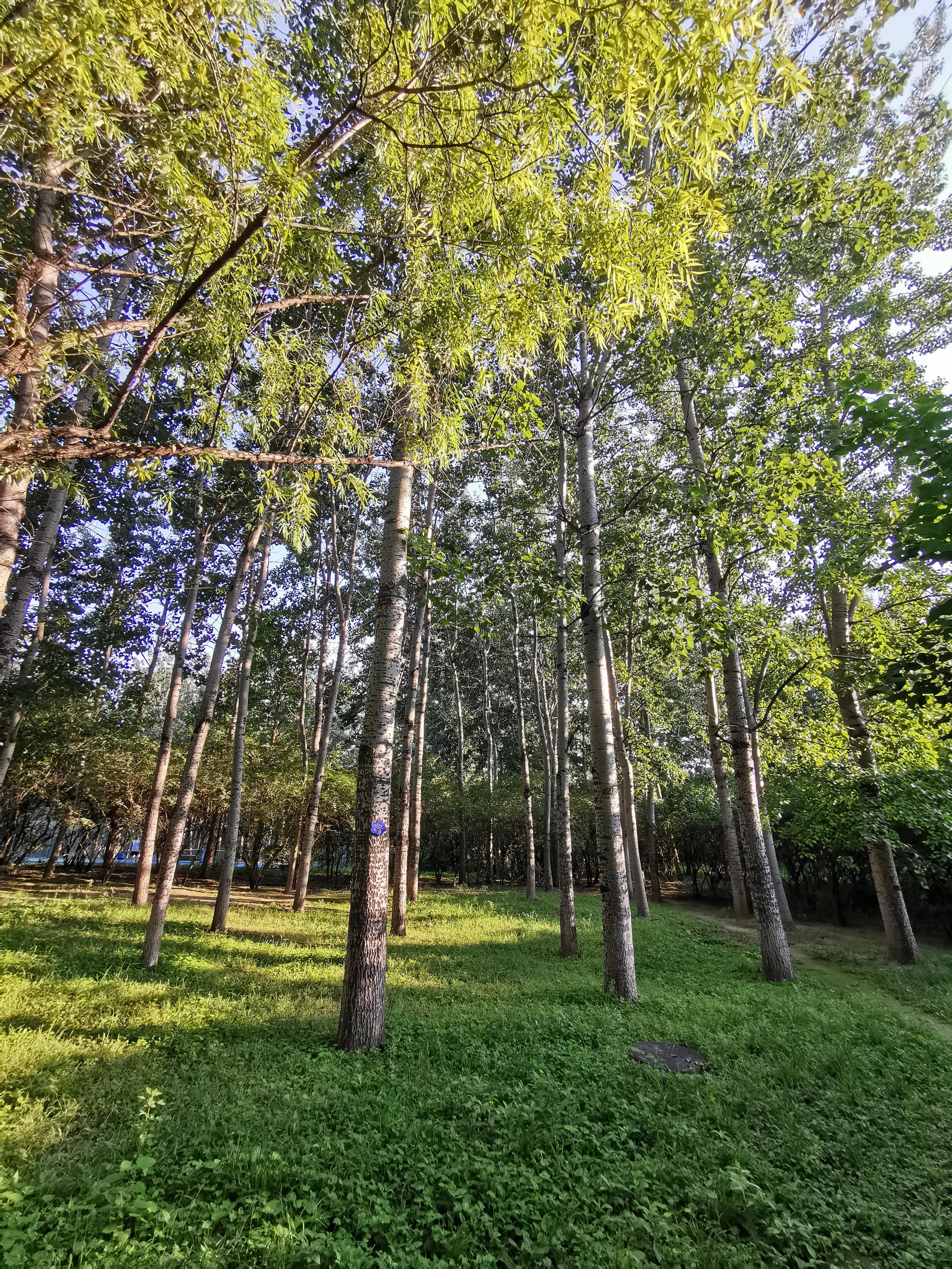 奥森南园里的小动物园,奥森公园南园