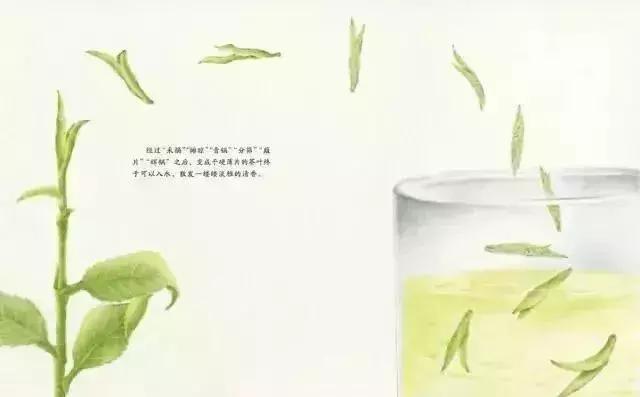 【羽佳读者专属定制】中国原创绘本节日礼品装，六一节前大放送