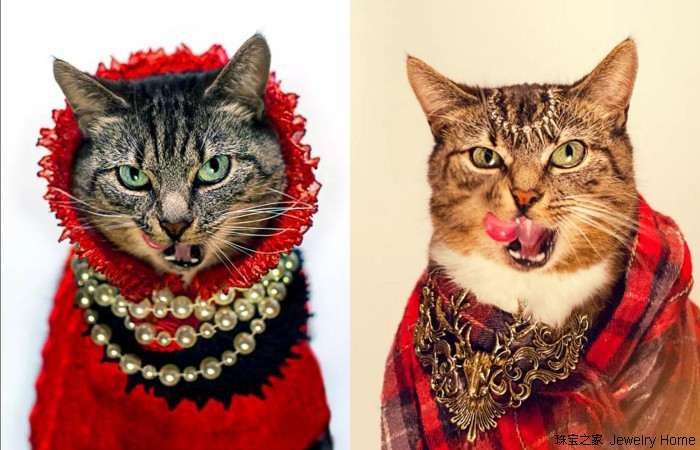 一学就会的抖音小技巧,一学就会的抖音教程