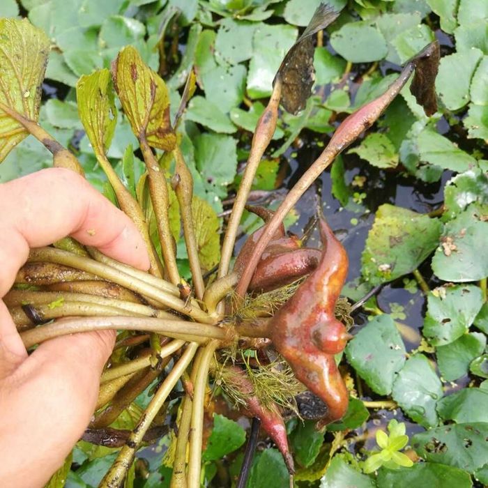汉字探源后人姓氏,汉字笔画探源演变