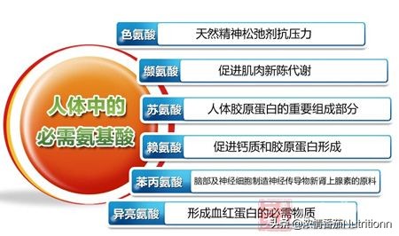 儿童营养奶粉3-12岁成长奶粉,婴儿配方奶粉知识大全