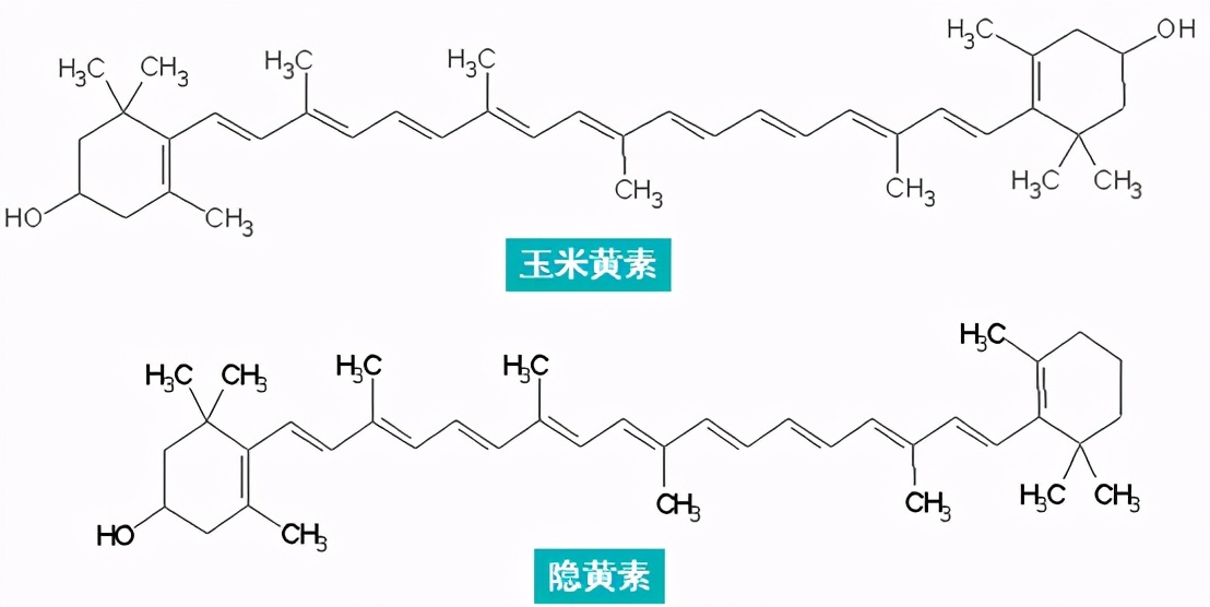 应朋友们的要求,今天分享下着色剂、护色剂和漂白剂的使用知识