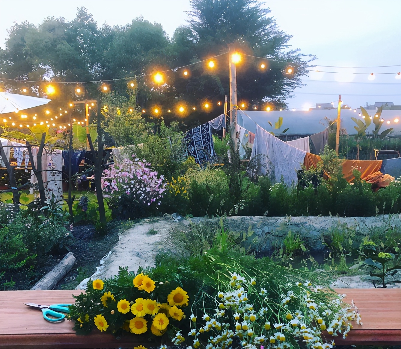 农场盈利新模式,投资万亩农场真实案例