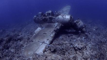 帕劳岛自由行潜水,帕劳水母湖自由潜视频