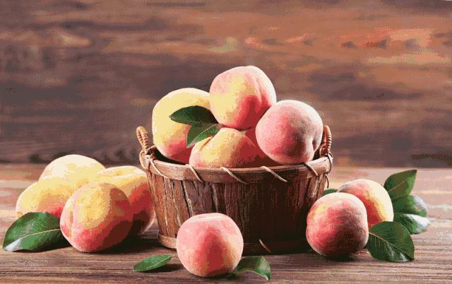 上海造火箭的地方,福建哪个地方造火箭