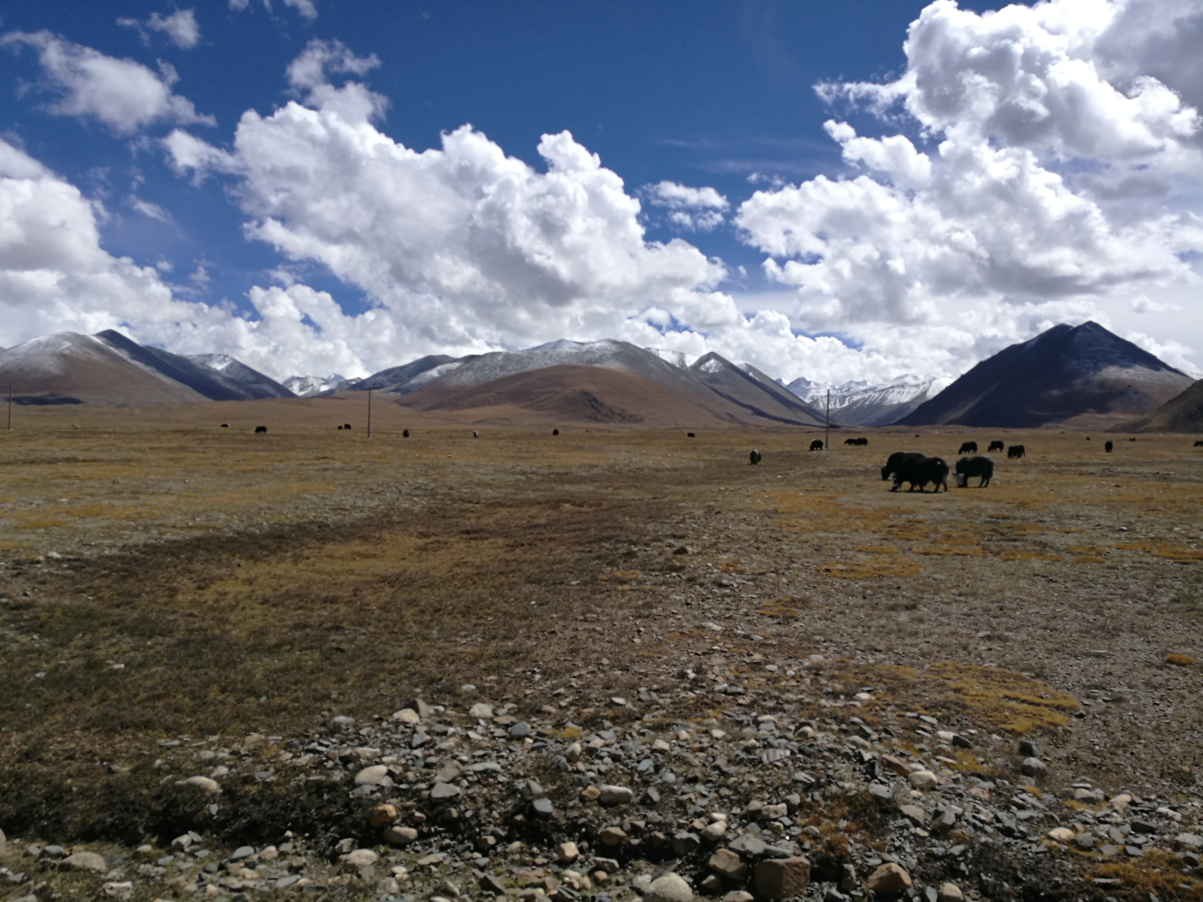 *藏西**大环线第35天：导航输入错误，走了个不收门票不一样的纳木措