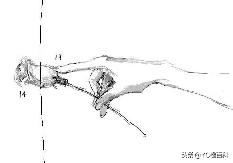 带刺的玫瑰情侣,带刺的玫瑰爱情