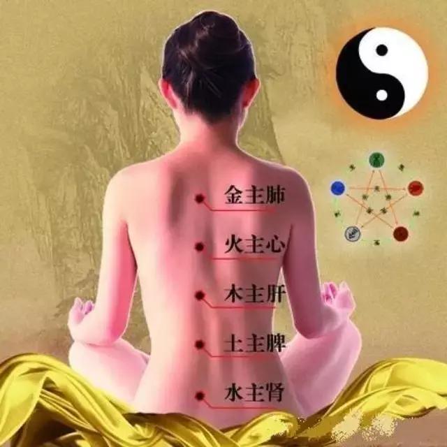 背诊图五脏六腑反射区,足部反射区解析大全