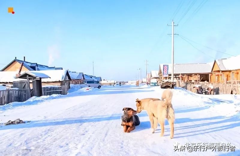 冬天漠河白桦林童话世界完整视频,冰雪大世界长白山雪乡六天五晚