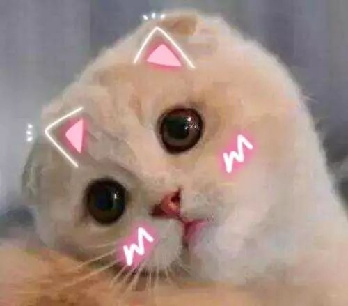 普通话考试话题技巧,普通话考试题型历届真题