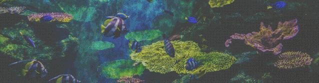 龙鱼老是扑水怎么回事,龙鱼有掉眼倾向怎么办