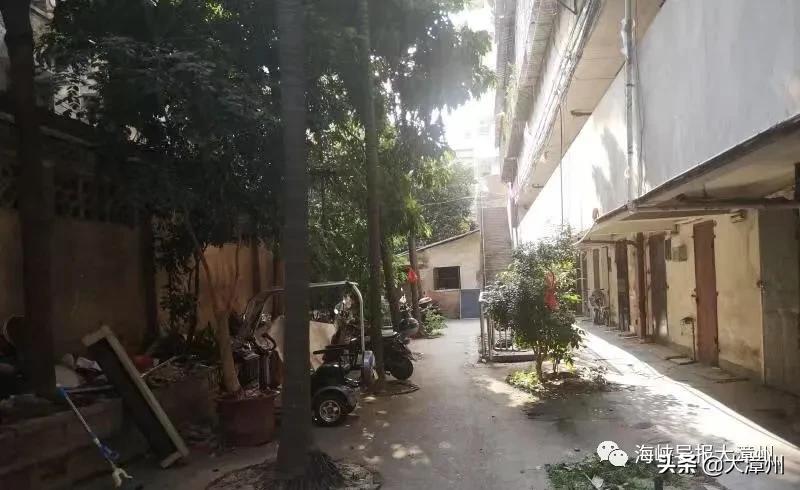 市区教师新村和水仙花园，是脱胎换骨啦！你家老旧小区呢？可留言晒图下