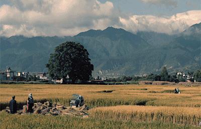 大理自由行攻略推荐,没有攻略的大理旅游