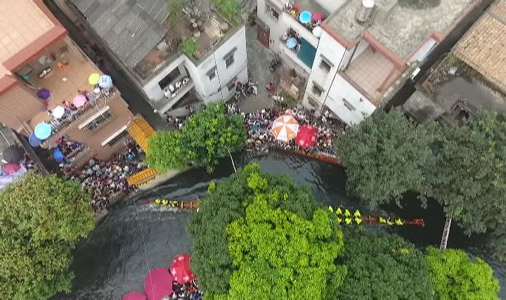 中国佛山龙船漂移,学习强国龙舟快闪