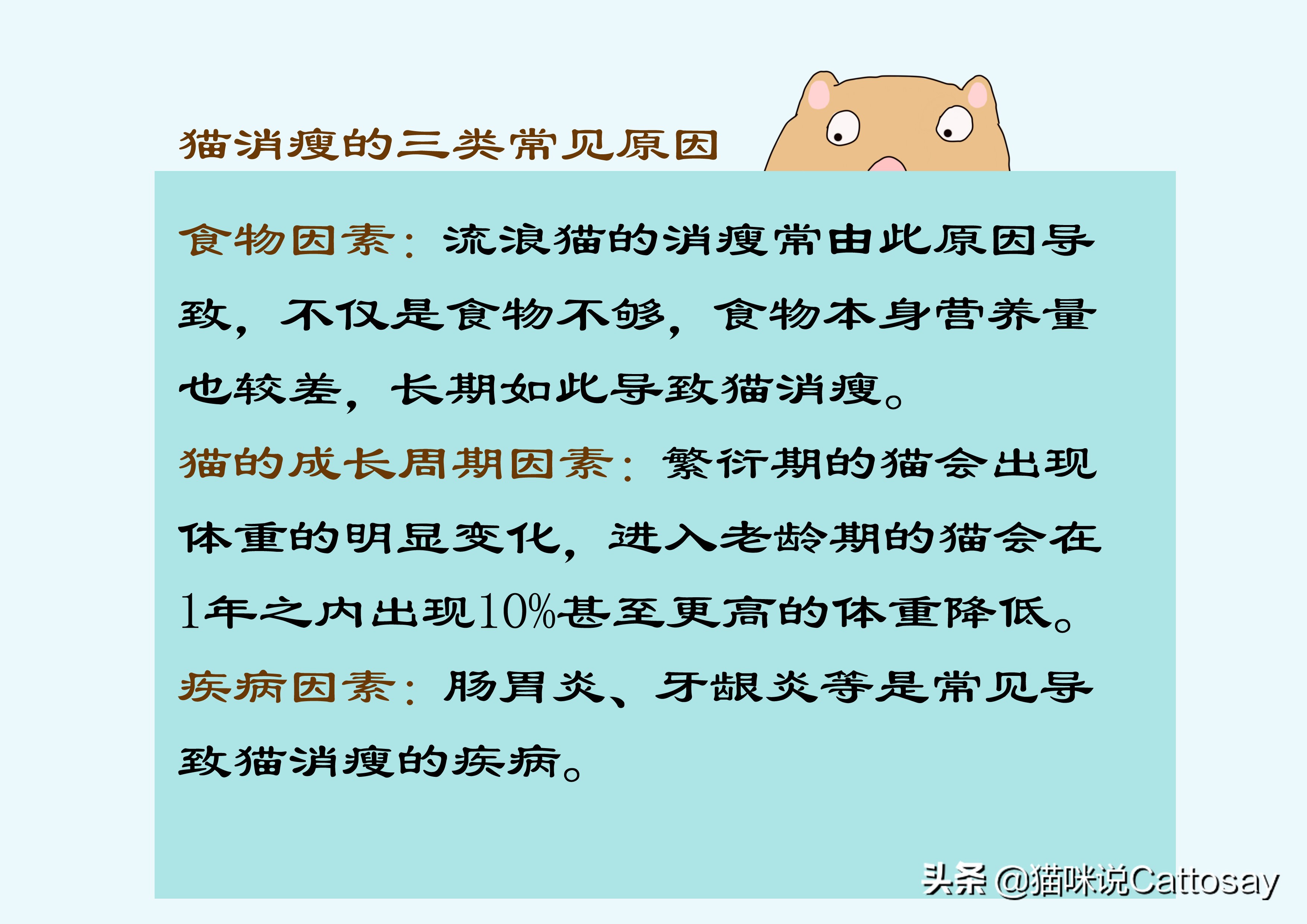 猫过度摄入维生素b会怎样,猫生病后怎么通过饮食给他补营养