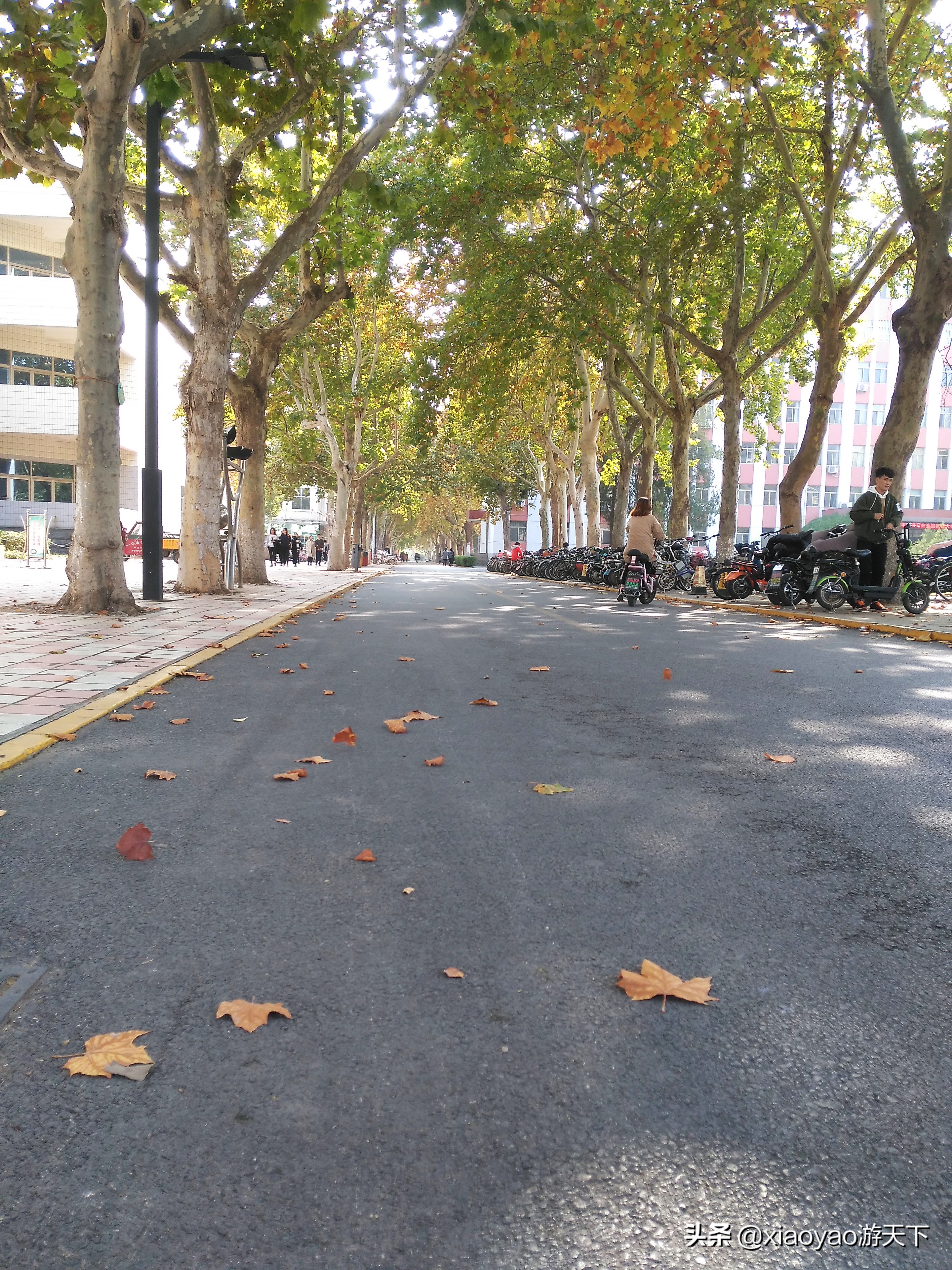 最美大学之旅——江北水城第一学府聊城大学