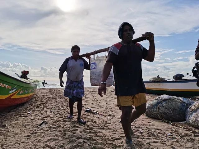 进博会印度今年有什么产品,印度人评进博会带货