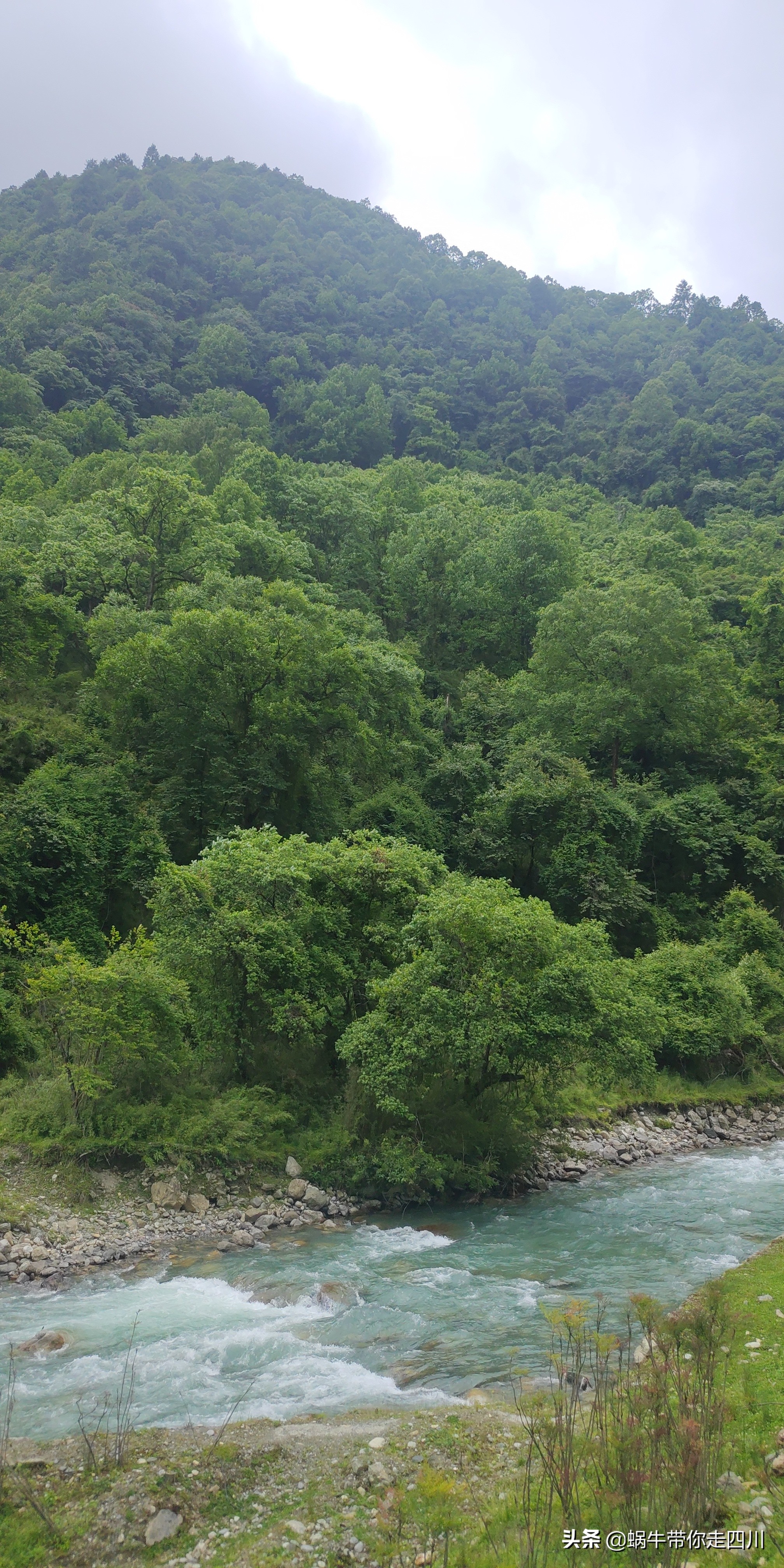 成都到西藏旅游一家三口,成都出发三天两夜旅行套票