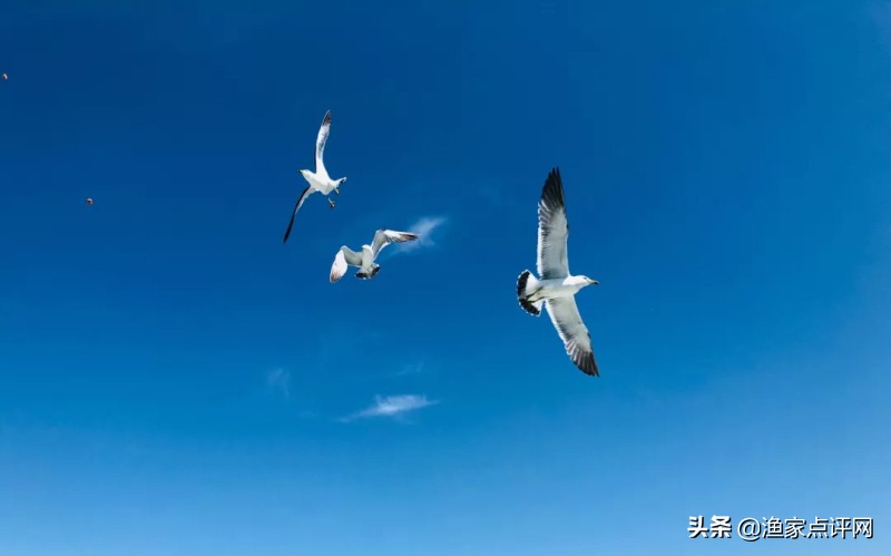 大连这个小岛不去看一看，真的会后悔