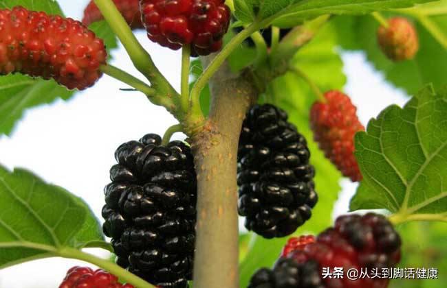 10人9痔,苦不堪言!如何解决长期便秘,痔疮,便血呢?