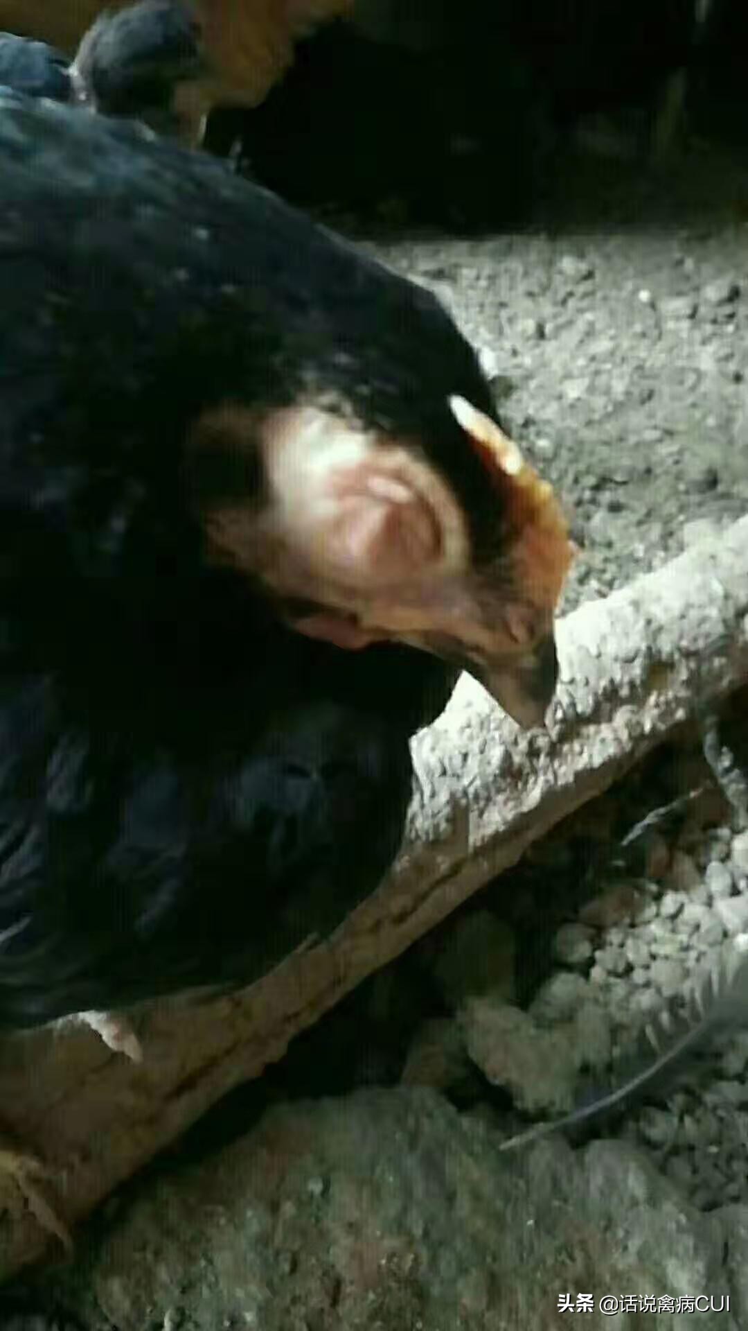 肿头肿脸总反复，这个办法很好使