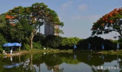 深圳南山区青青世界视频,青青世界深圳热带雨林