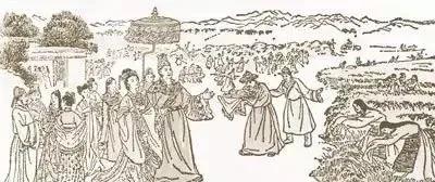 央视镜头下的杨紫文成公主,杨紫文成公主上热搜场面