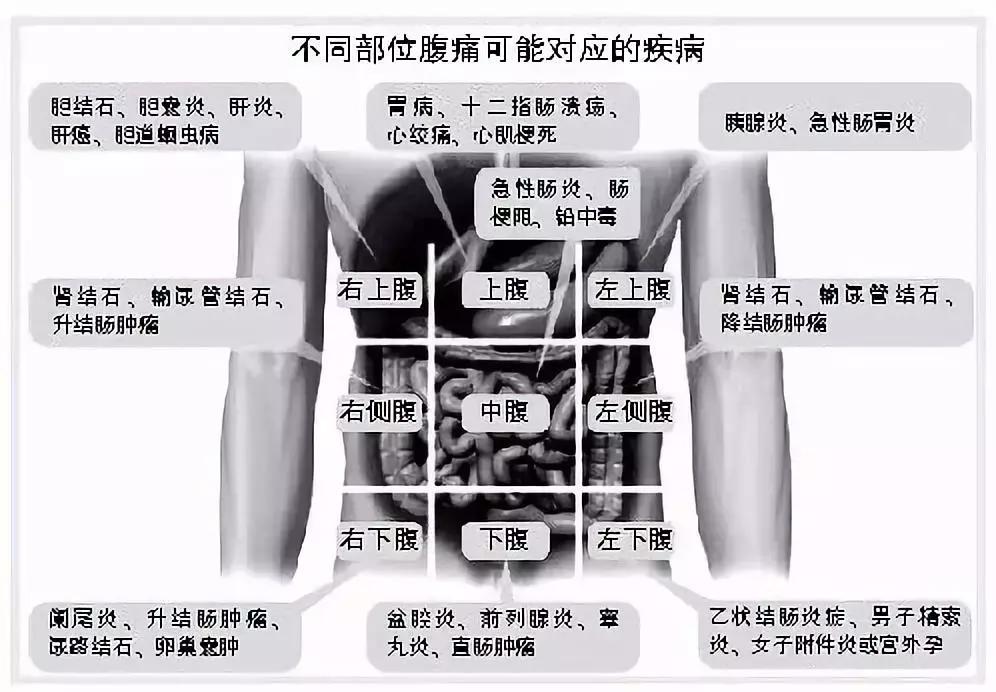 肚子疼怎么查出来的结果更严重,儿童肚子疼挂什么科室比较准确呢
