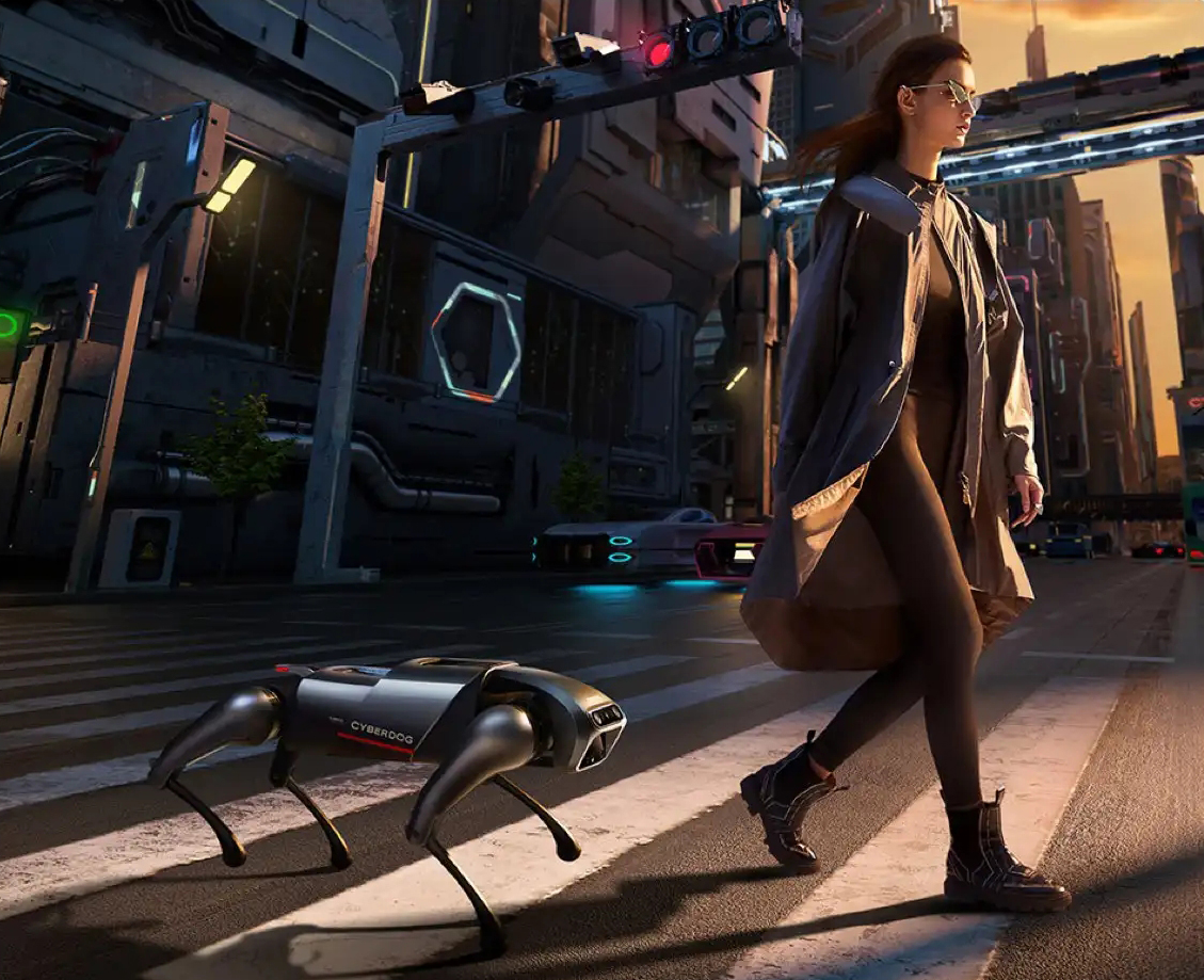 雷军铁蛋测试,雷军演示铁蛋机器