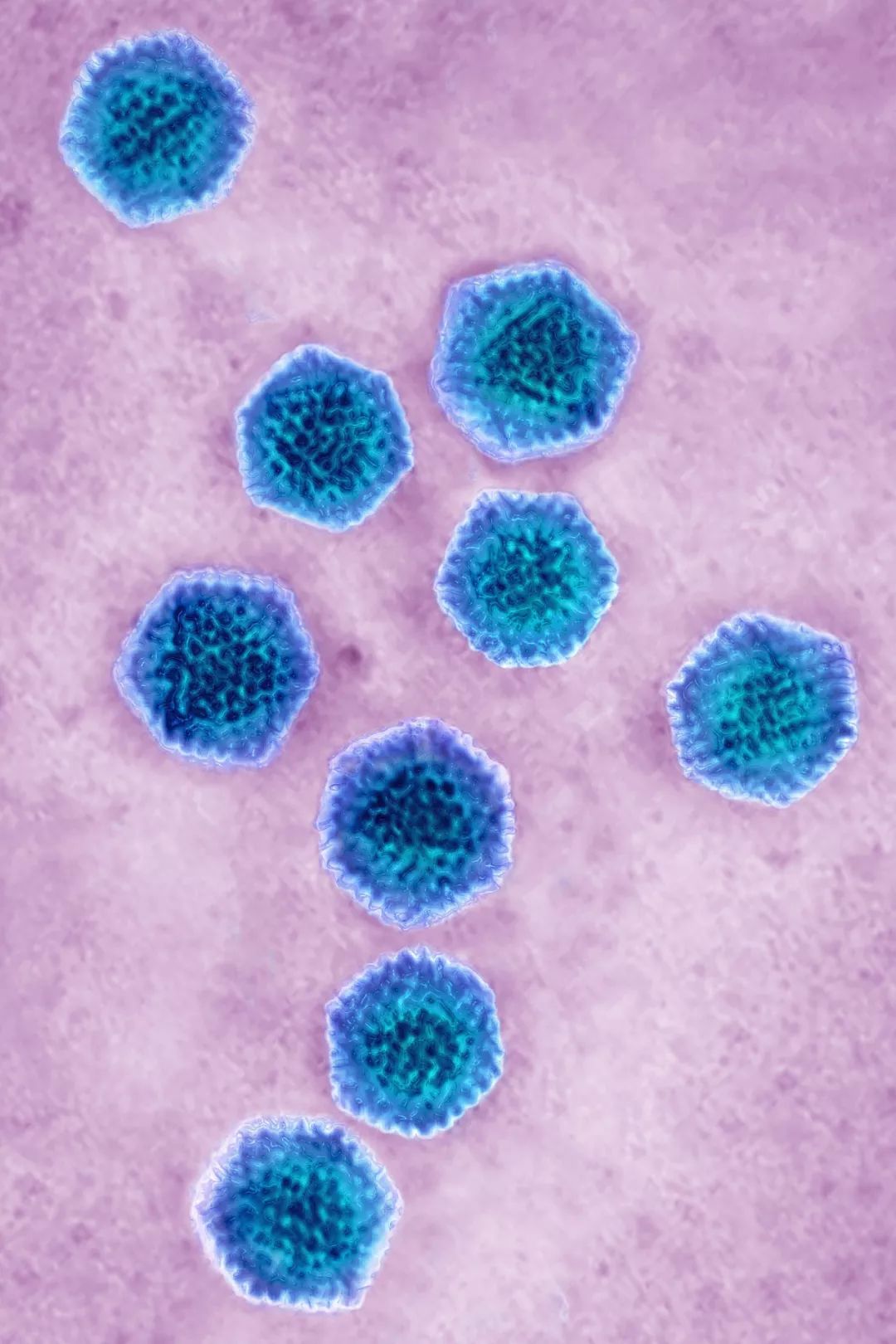 感染病毒后的168小时,你的体内都发生了什么?