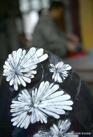 寒冷冬日，让那些永不凋零的“石头花”来温暖你