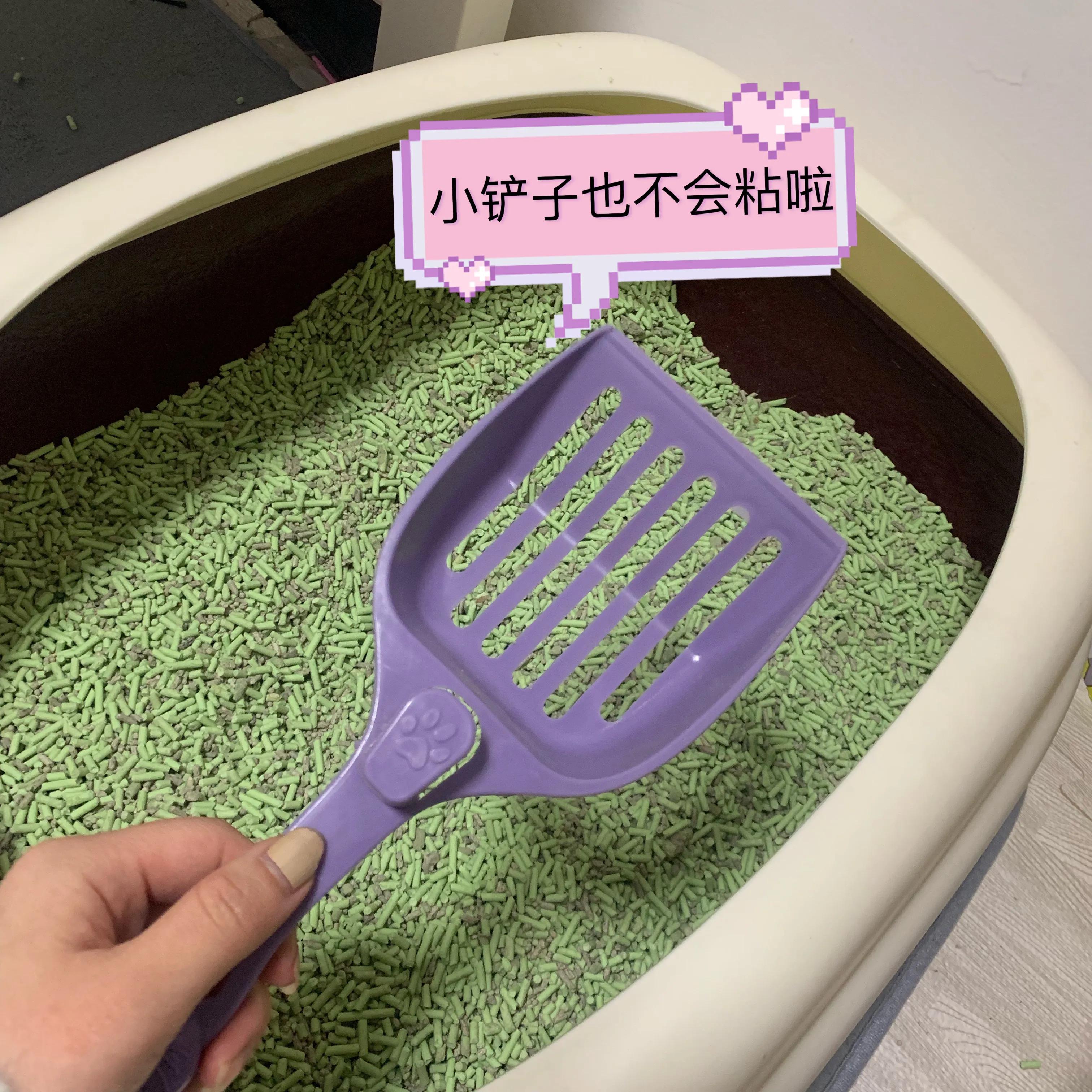 养猫新手入门猫砂,猫砂评价无粉尘