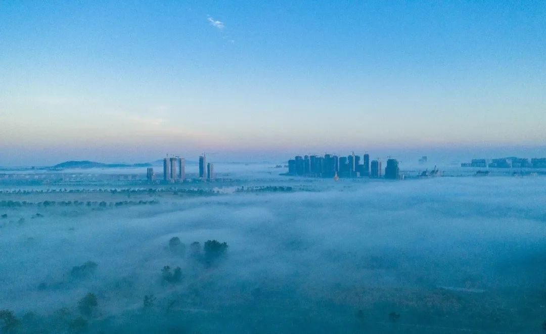 种草一个被遗忘的小岛，背山靠海，拥有山东最美的“童话屋”，美到窒息！