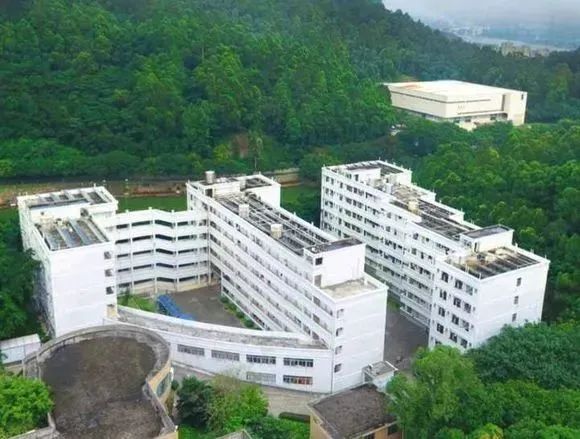 广东高职高考看院校,广州番禺高职高考有什么专业