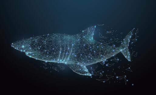 淘宝模式,淘宝最新模式