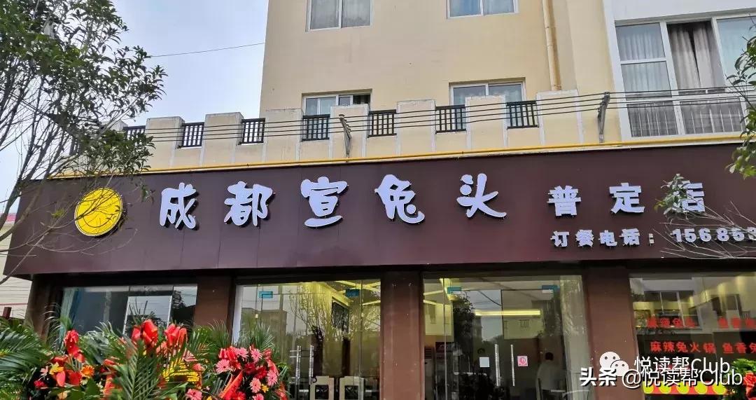 连成都人都赞不绝口的兔头空降安顺！这些兔兔还是安顺人自家养的