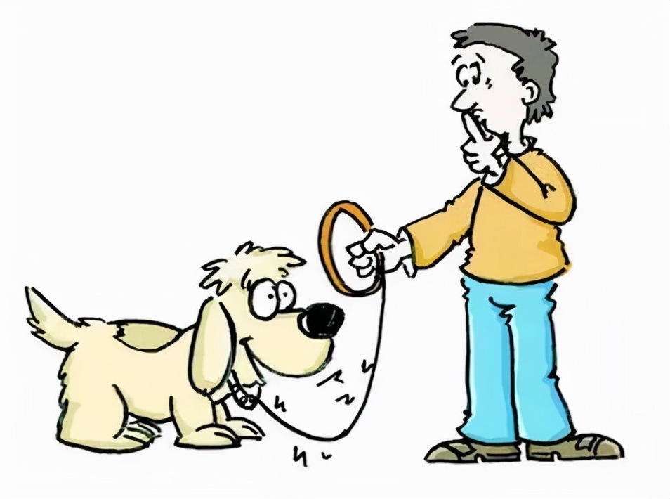 每日小科普小知识,中央电视台狂犬病科普