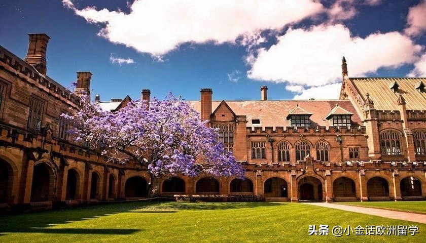 悉尼大学理疗,澳洲物理理疗专业