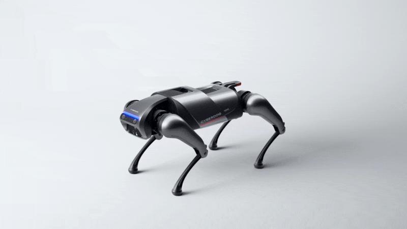 雷军铁蛋售价,雷军机器人铁蛋